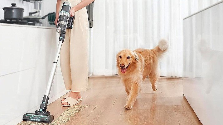 From Pet Hair to Fine Dust: Tackling Different Types of Vacuuming Challenges